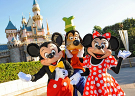 gallery/disneyworld